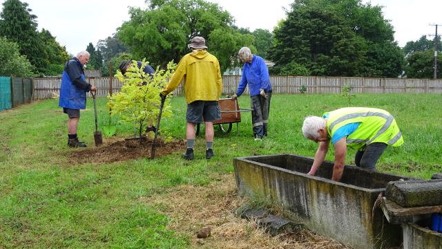 Planting the carpark